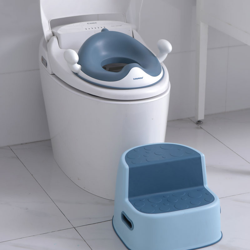Is Baby Potty Seat Necessary?